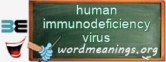 WordMeaning blackboard for human immunodeficiency virus
